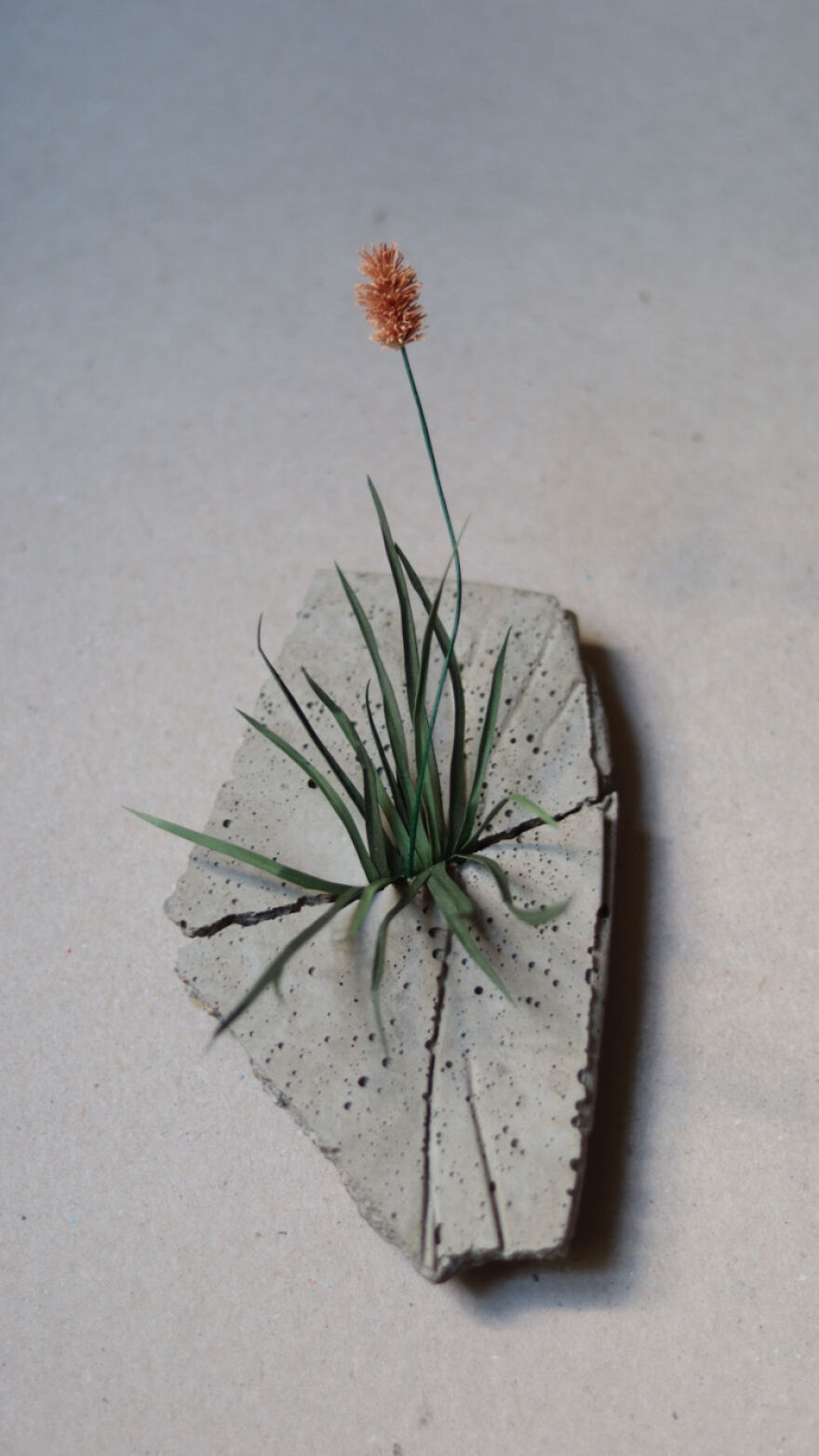 My New Series Called 'Weeds'