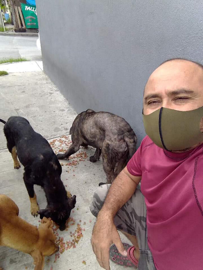 Man Rescued A Dog That Bit Him And His Story Went Viral