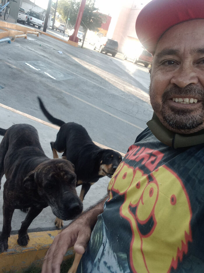 Man Rescued A Dog That Bit Him And His Story Went Viral