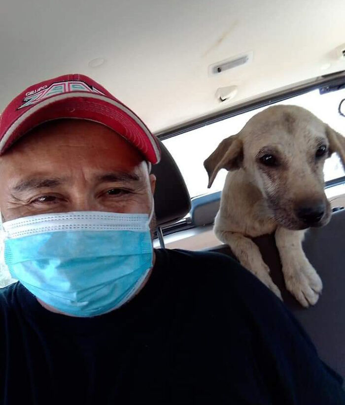 Man Rescued A Dog That Bit Him And His Story Went Viral