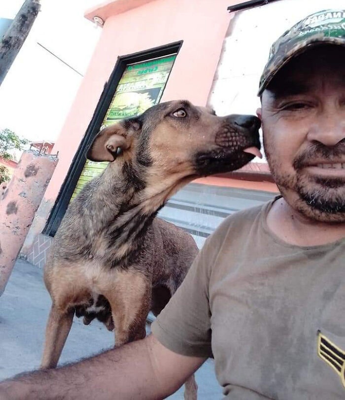 Man Rescued A Dog That Bit Him And His Story Went Viral
