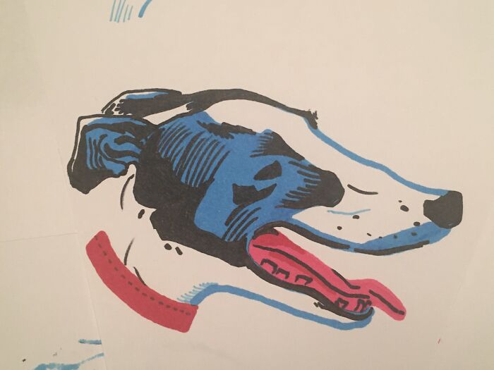 Our Greyhound Gracie