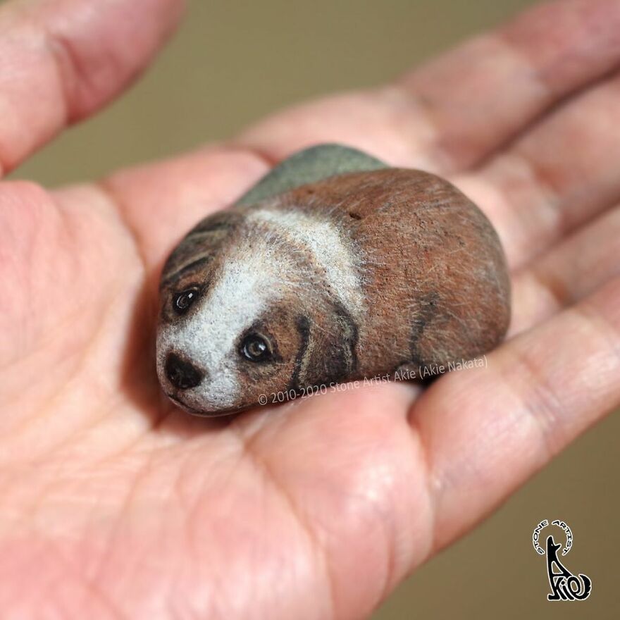 Akie Nakata, Japanese Artist Turns Stones Into Art And The Result Is Amazing (New Pics)