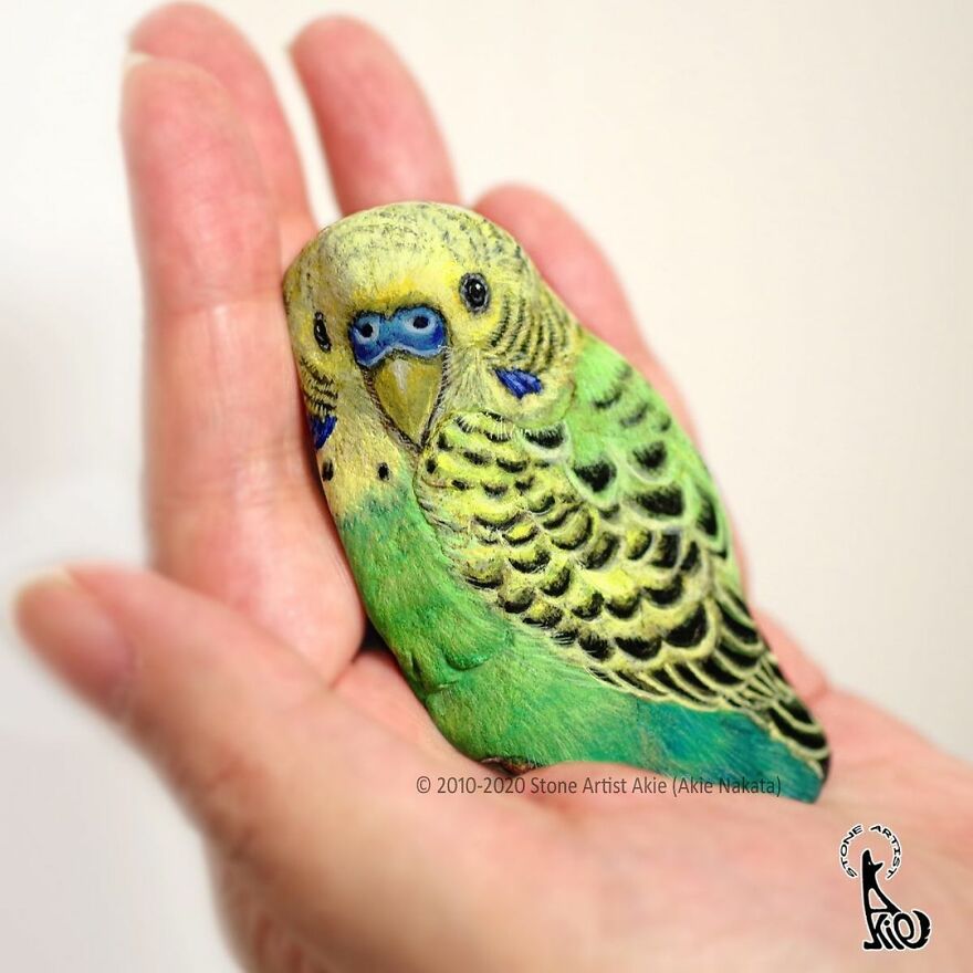 Akie Nakata, Japanese Artist Turns Stones Into Art And The Result Is Amazing (New Pics)