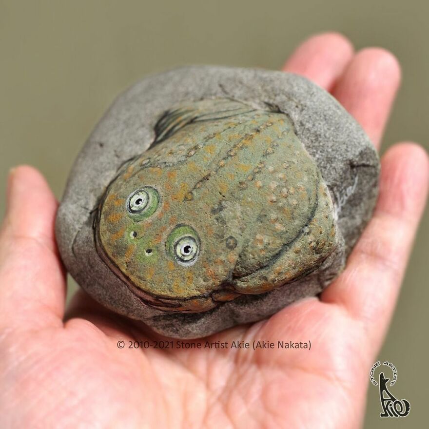 Akie Nakata, Japanese Artist Turns Stones Into Art And The Result Is Amazing (New Pics)