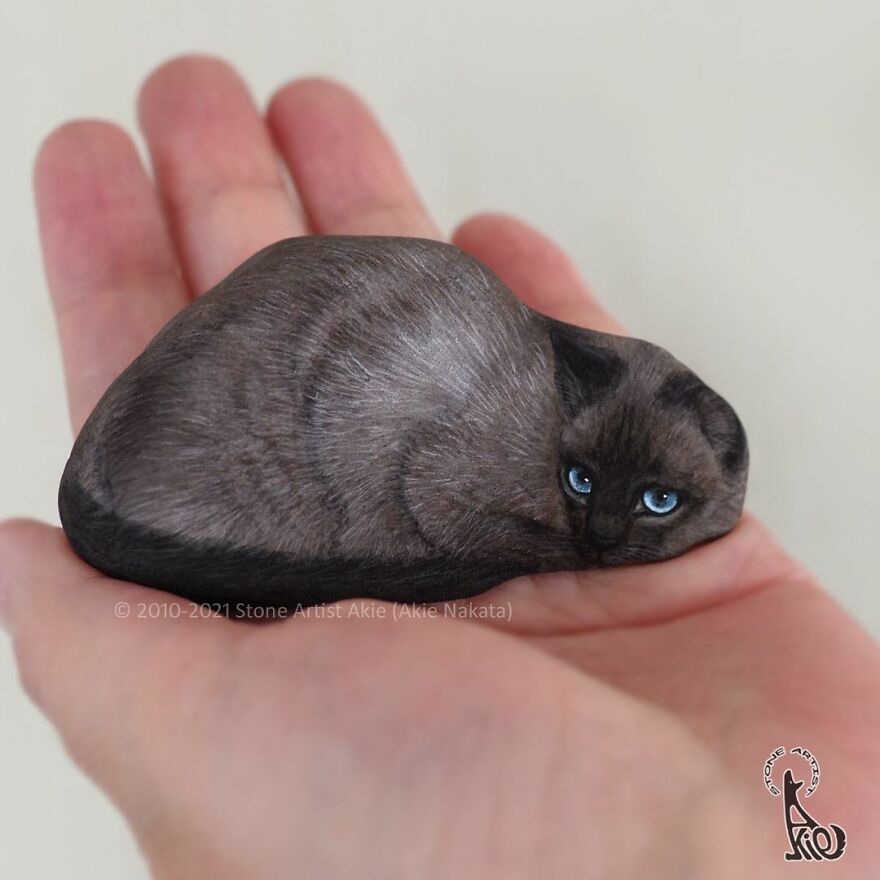 Akie Nakata, Japanese Artist Turns Stones Into Art And The Result Is Amazing (New Pics)