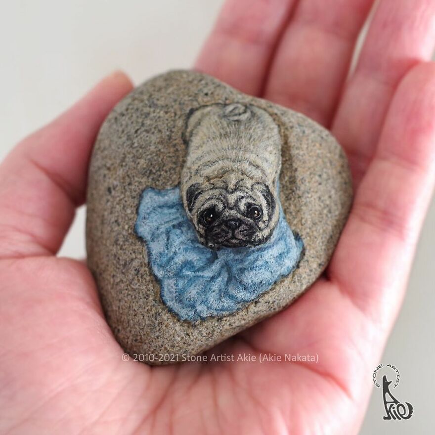 Akie Nakata, Japanese Artist Turns Stones Into Art And The Result Is Amazing (New Pics)