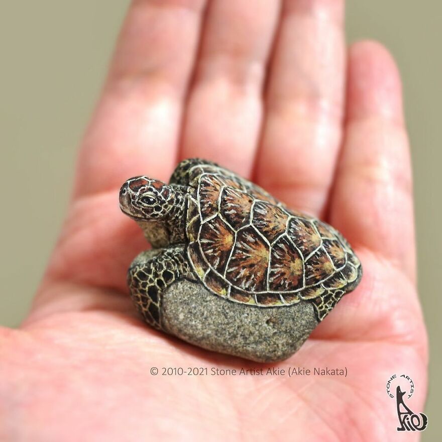 Akie Nakata, Japanese Artist Turns Stones Into Art And The Result Is Amazing (New Pics)