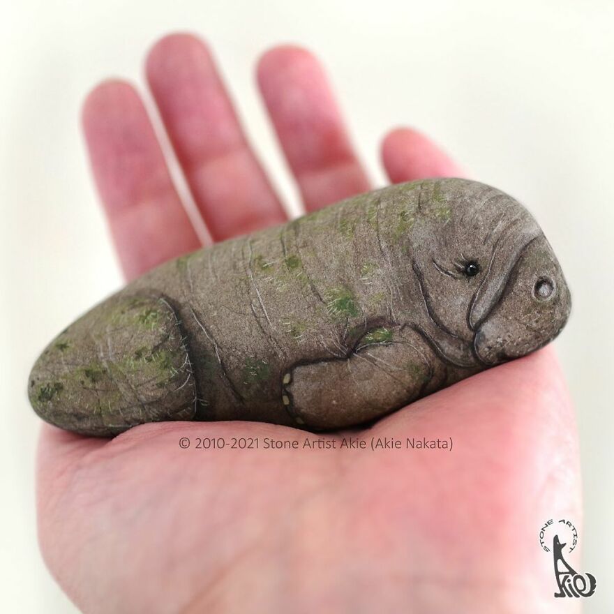 Akie Nakata, Japanese Artist Turns Stones Into Art And The Result Is Amazing (New Pics)