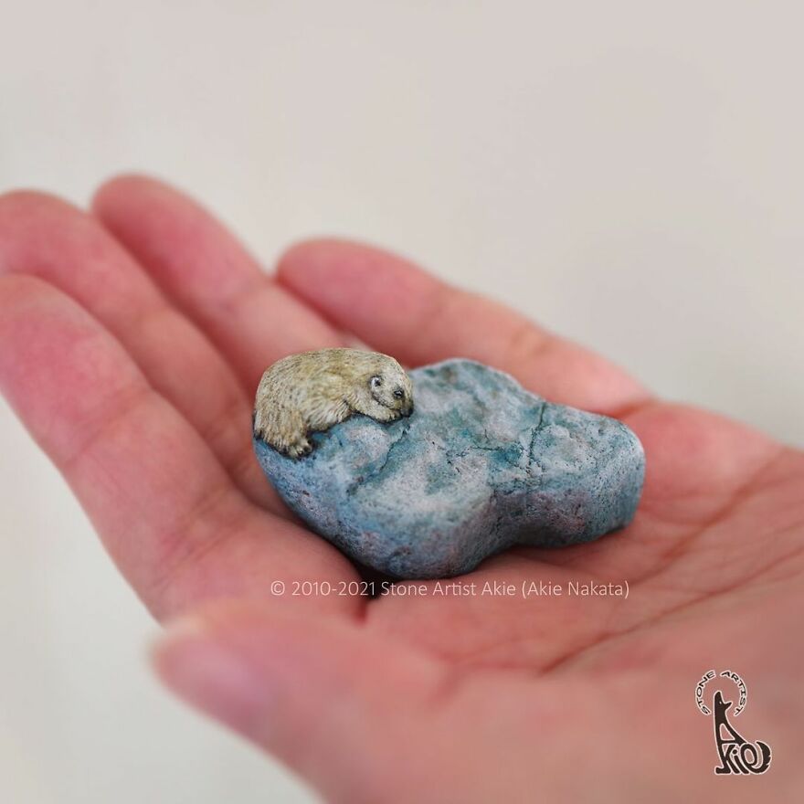 Akie Nakata, Japanese Artist Turns Stones Into Art And The Result Is Amazing (New Pics)