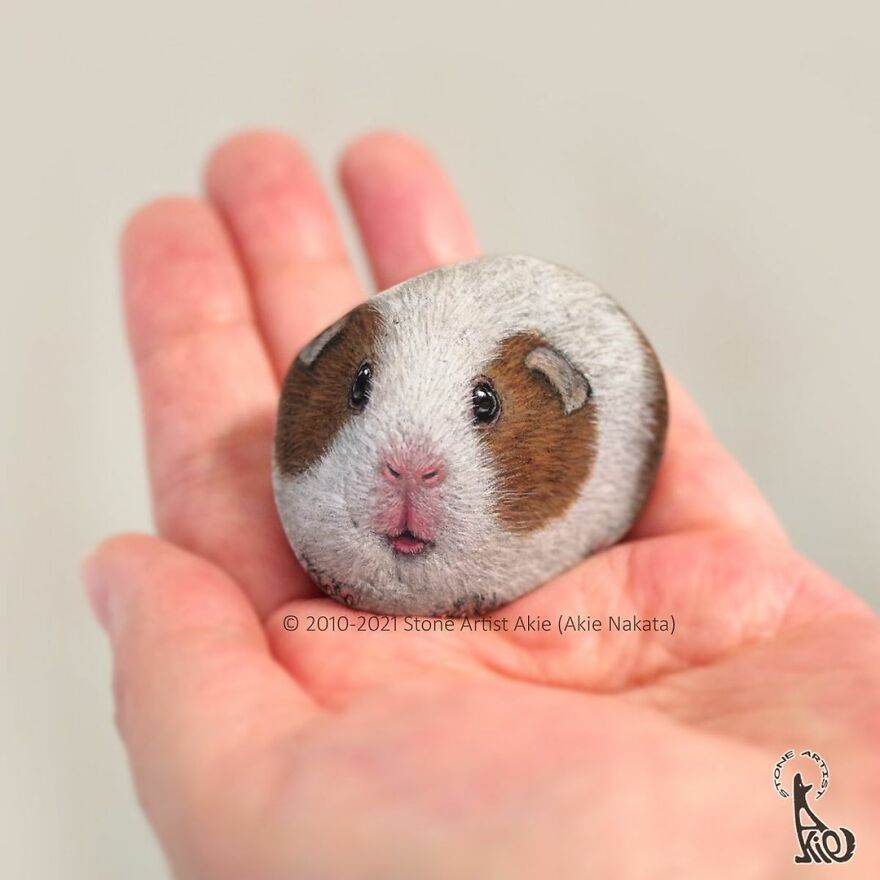 Akie Nakata, Japanese Artist Turns Stones Into Art And The Result Is Amazing (New Pics)