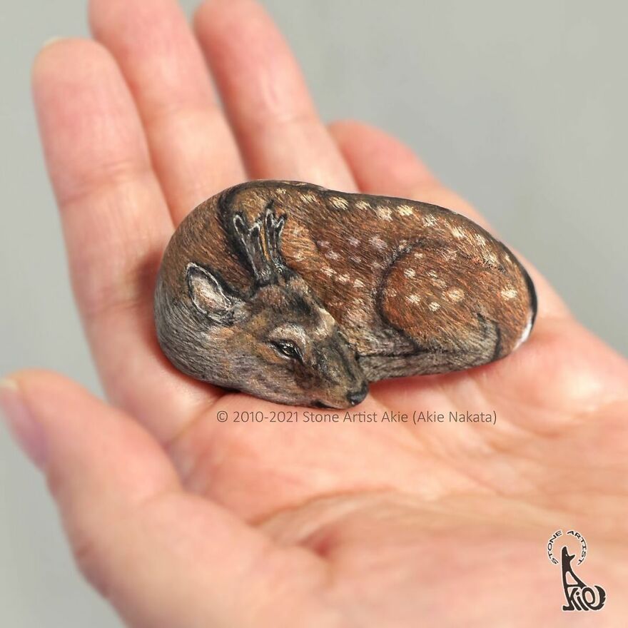 Akie Nakata, Japanese Artist Turns Stones Into Art And The Result Is Amazing (New Pics)