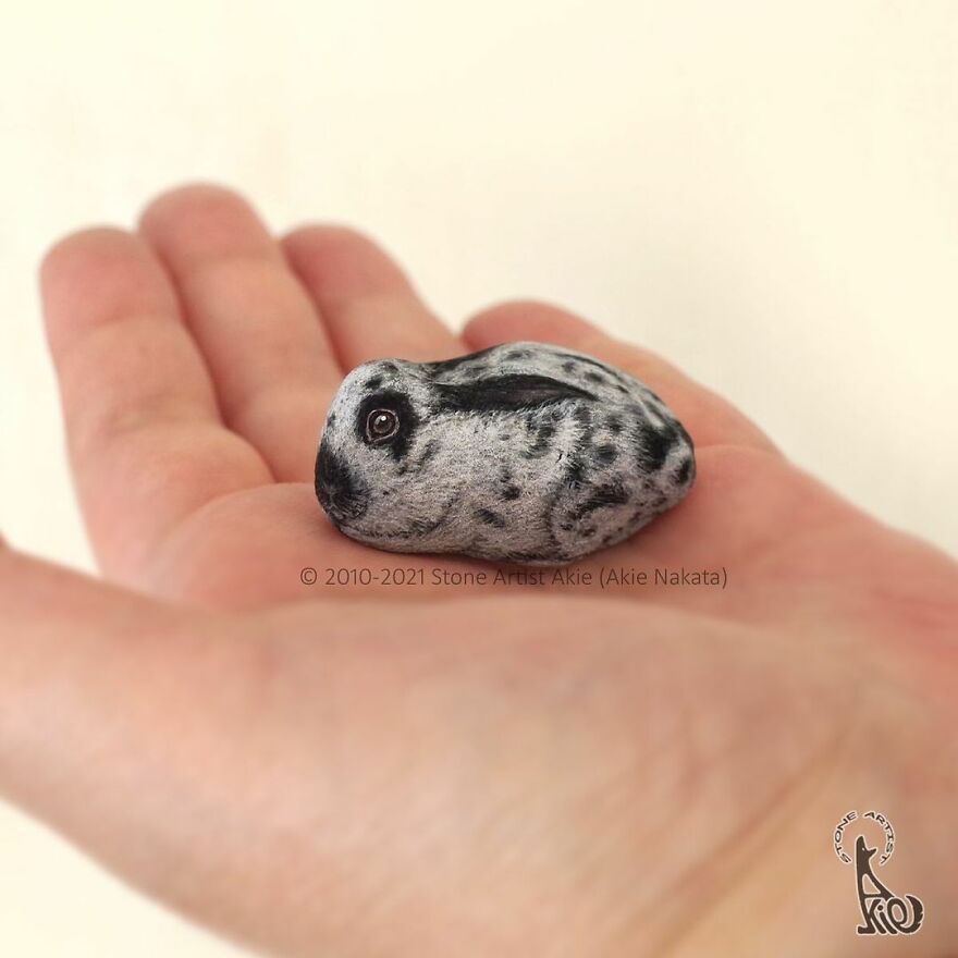 Akie Nakata, Japanese Artist Turns Stones Into Art And The Result Is Amazing (New Pics)