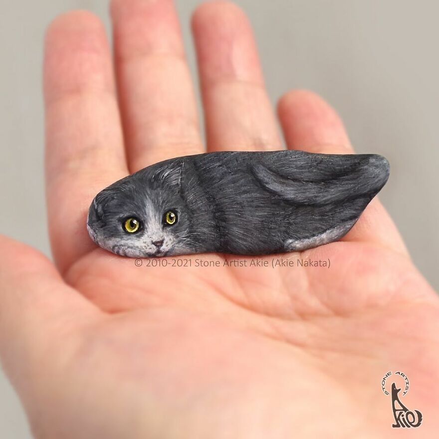 Akie Nakata, Japanese Artist Turns Stones Into Art And The Result Is Amazing (New Pics)