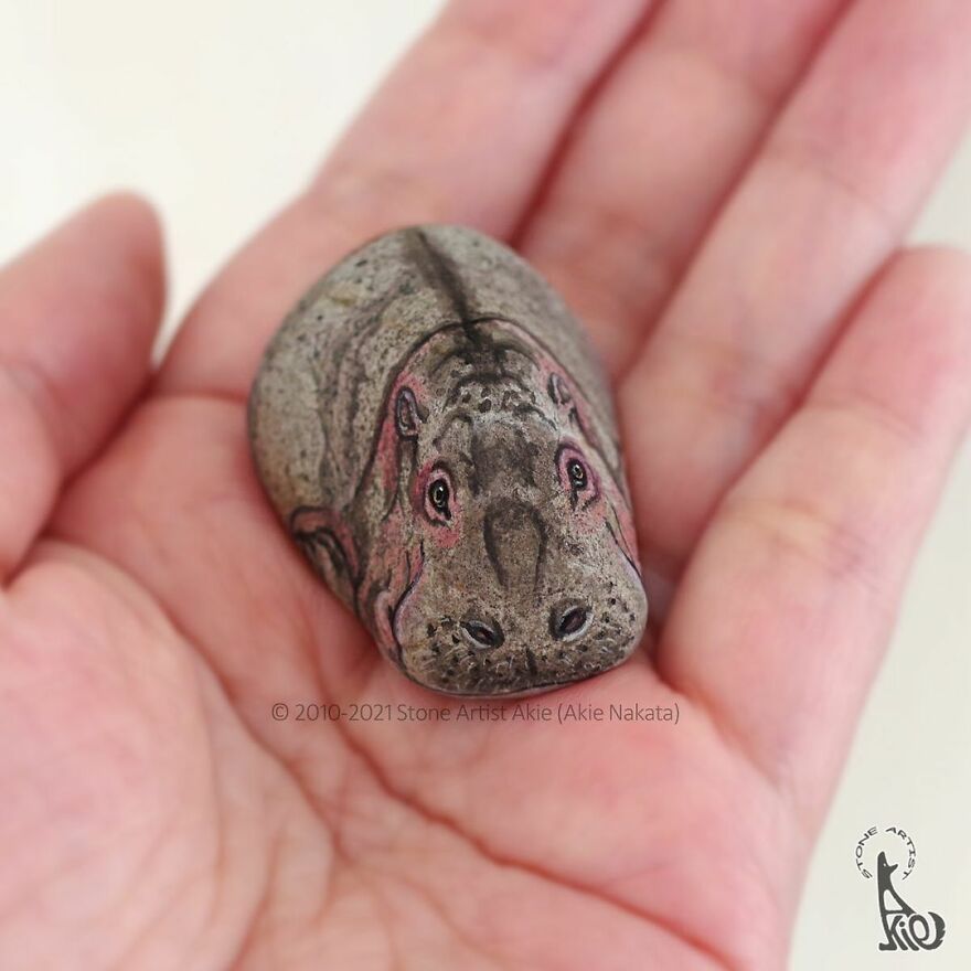 Akie Nakata, Japanese Artist Turns Stones Into Art And The Result Is Amazing (New Pics)
