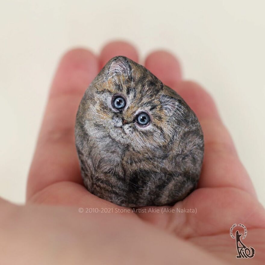 Akie Nakata, Japanese Artist Turns Stones Into Art And The Result Is Amazing (New Pics)