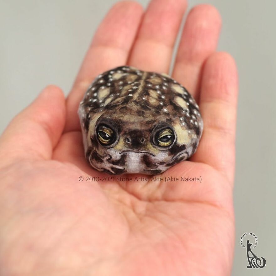 Akie Nakata, Japanese Artist Turns Stones Into Art And The Result Is Amazing (New Pics)