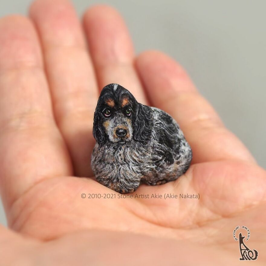 Akie Nakata, Japanese Artist Turns Stones Into Art And The Result Is Amazing (New Pics)