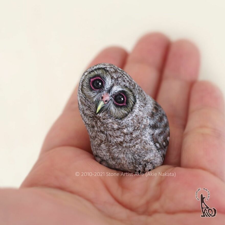 Akie Nakata, Japanese Artist Turns Stones Into Art And The Result Is Amazing (New Pics)