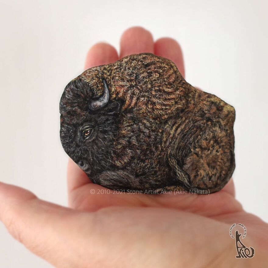 Akie Nakata, Japanese Artist Turns Stones Into Art And The Result Is Amazing (New Pics)