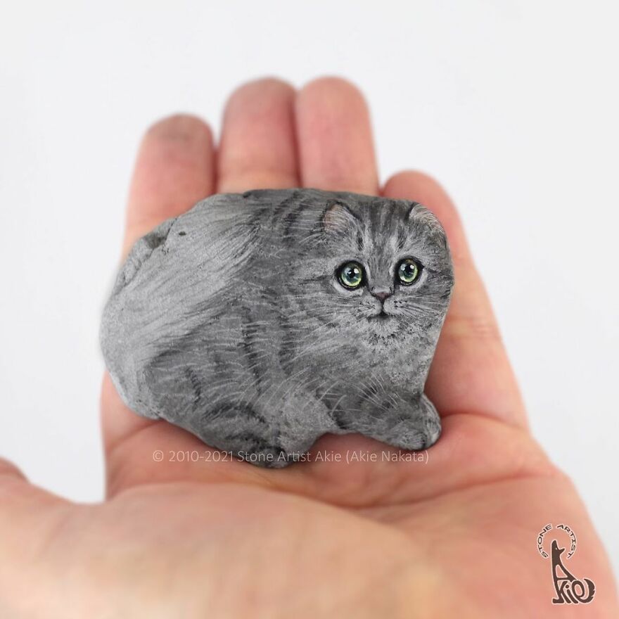 Akie Nakata, Japanese Artist Turns Stones Into Art And The Result Is Amazing (New Pics)