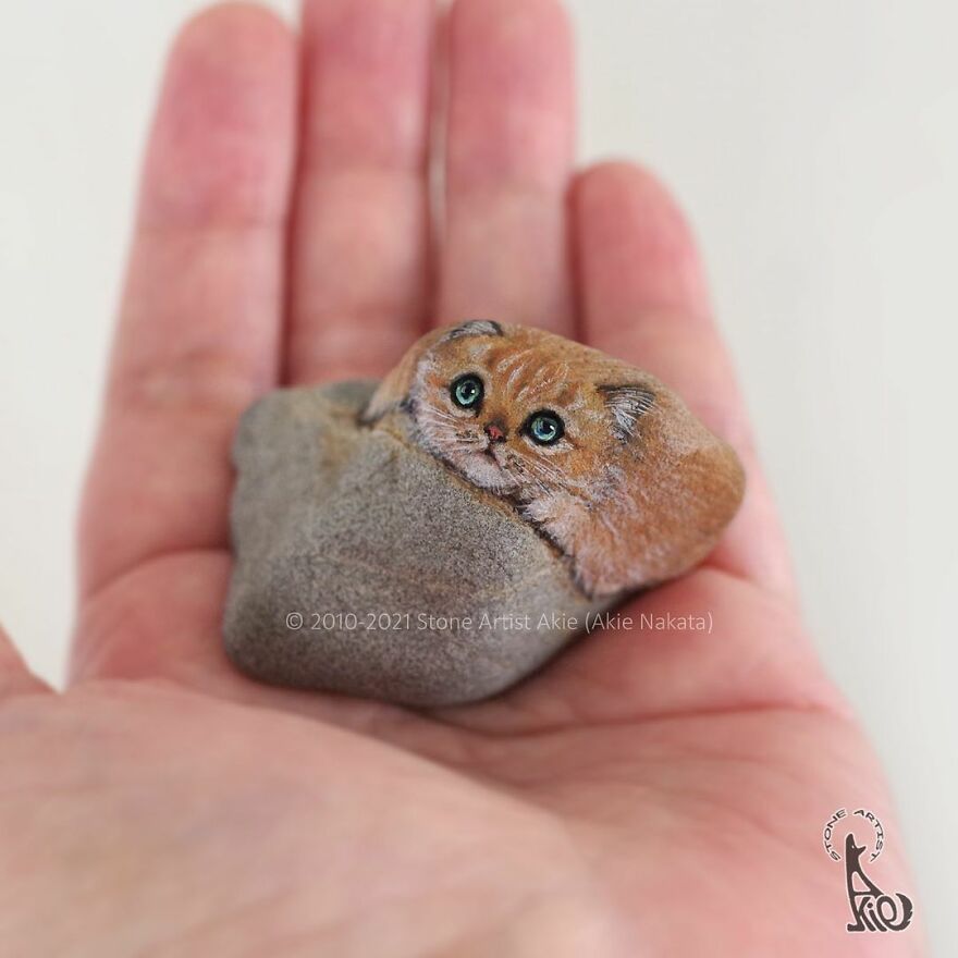 Akie Nakata, Japanese Artist Turns Stones Into Art And The Result Is Amazing (New Pics)
