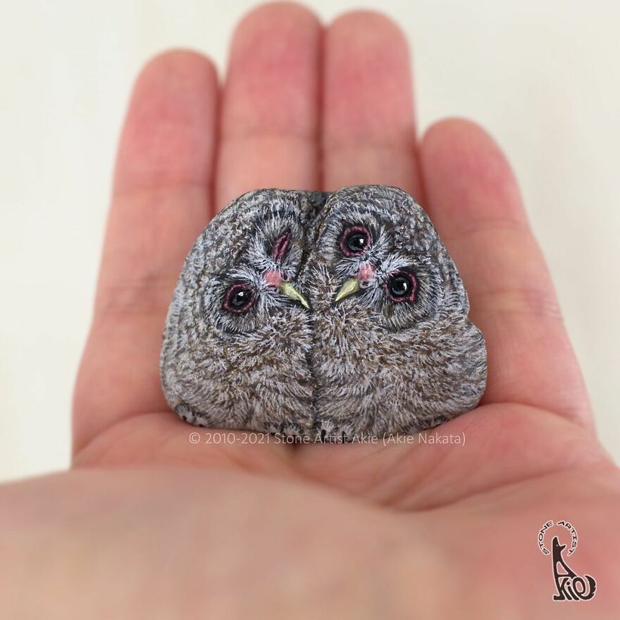 Akie Nakata, Japanese Artist Turns Stones Into Art And The Result Is Amazing (New Pics)