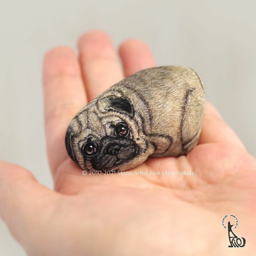 Akie Nakata, Japanese Artist Turns Stones Into Art And The Result Is Amazing (New Pics)