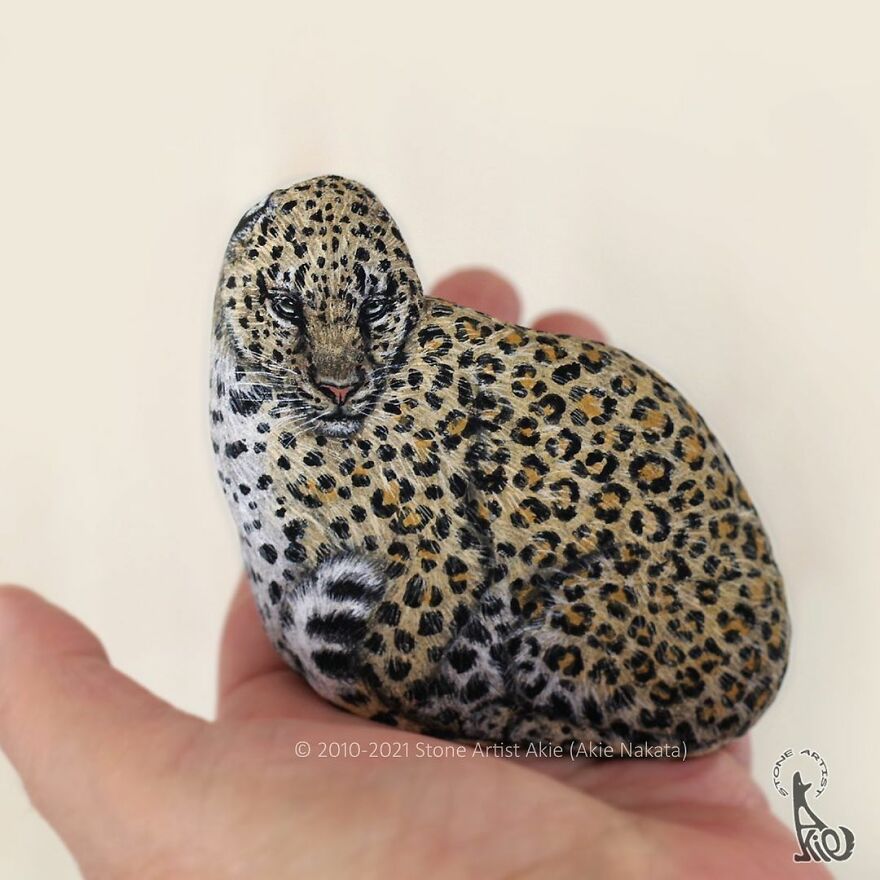 Akie Nakata, Japanese Artist Turns Stones Into Art And The Result Is Amazing (New Pics)