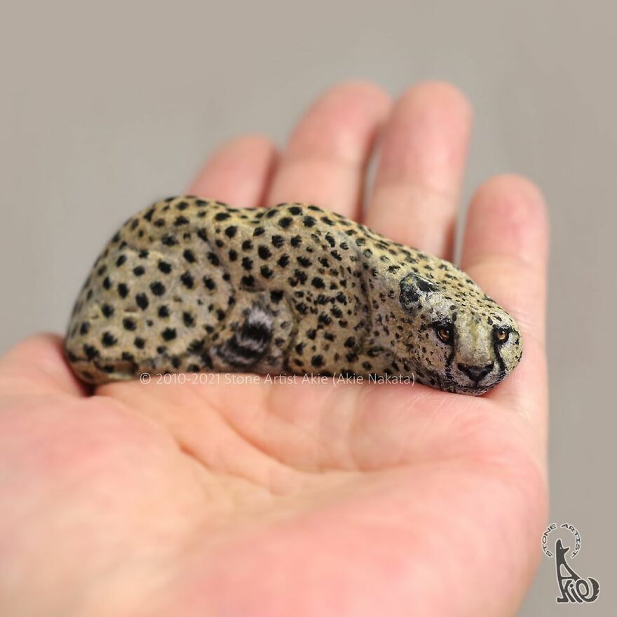 Akie Nakata, Japanese Artist Turns Stones Into Art And The Result Is Amazing (New Pics)