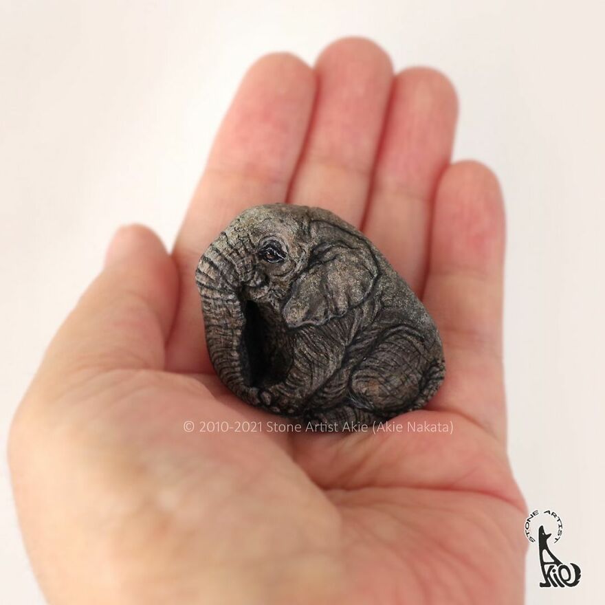 Akie Nakata, Japanese Artist Turns Stones Into Art And The Result Is Amazing (New Pics)