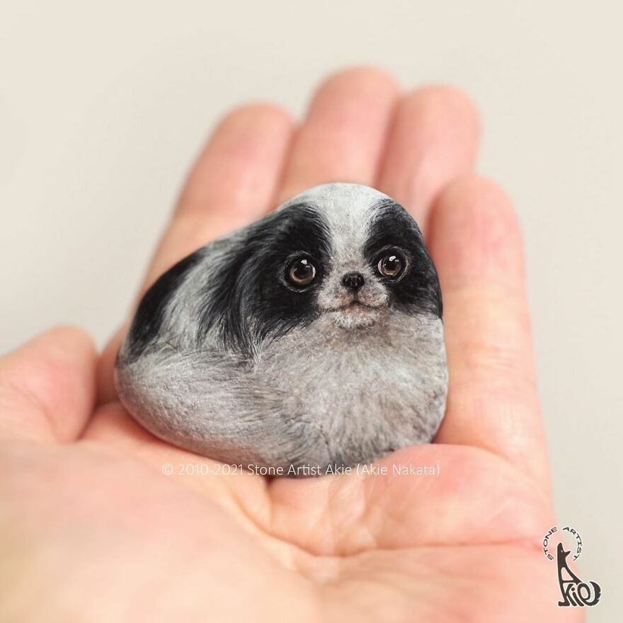 Akie Nakata, Japanese Artist Turns Stones Into Art And The Result Is Amazing (New Pics)