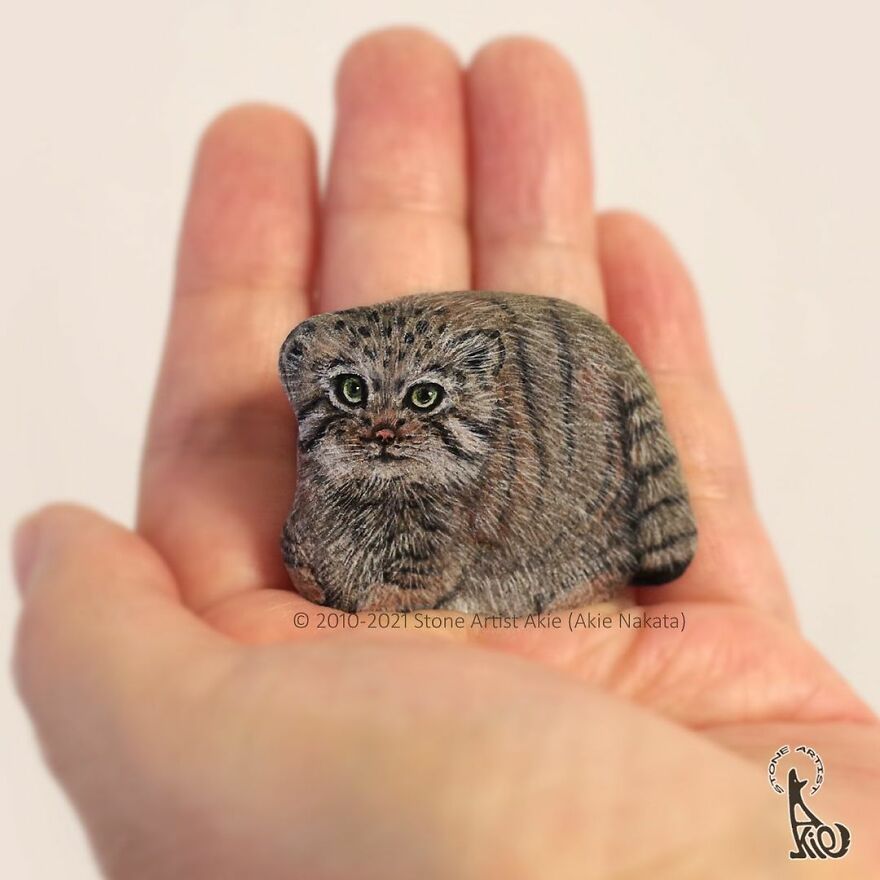 Akie Nakata, Japanese Artist Turns Stones Into Art And The Result Is Amazing (New Pics)