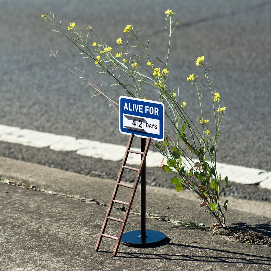 Artist Continues To Create Fun Street Signs Marking Small Places
