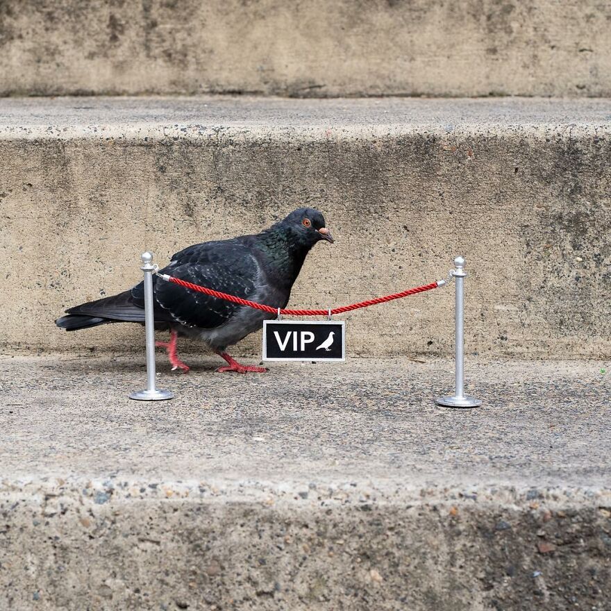 Artist Continues To Create Fun Street Signs Marking Small Places