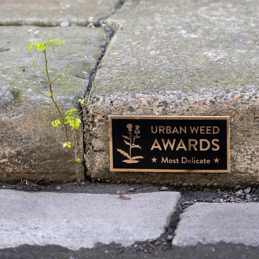 Artist Continues To Create Fun Street Signs Marking Small Places