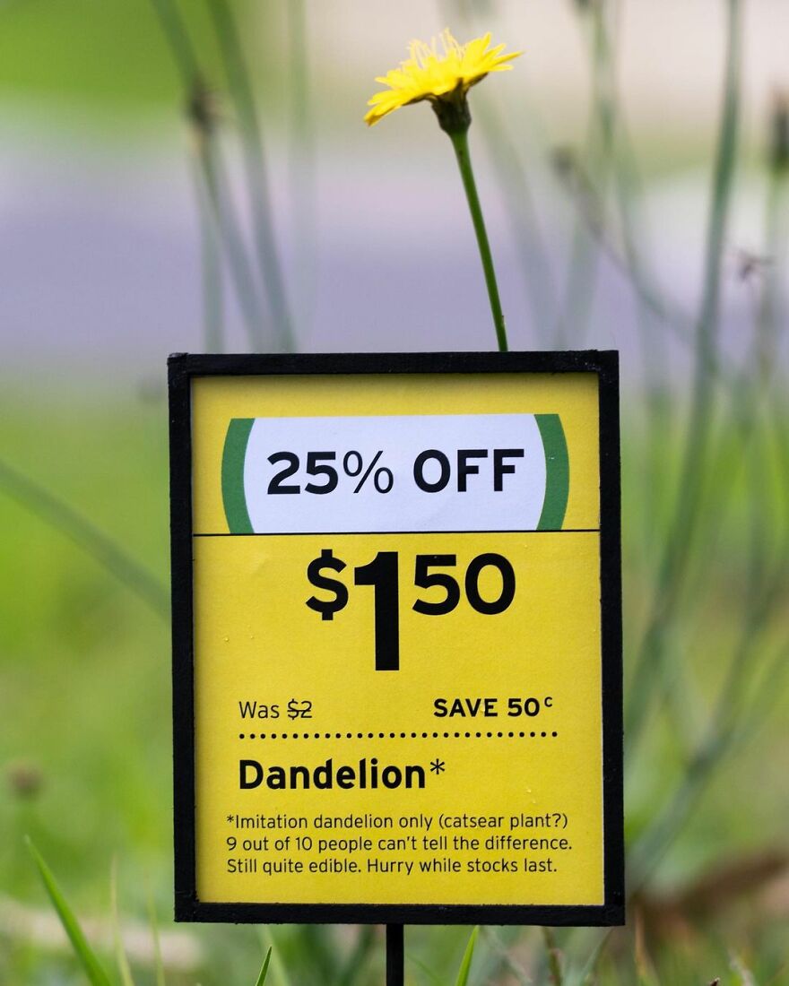 Artist Continues To Create Fun Street Signs Marking Small Places