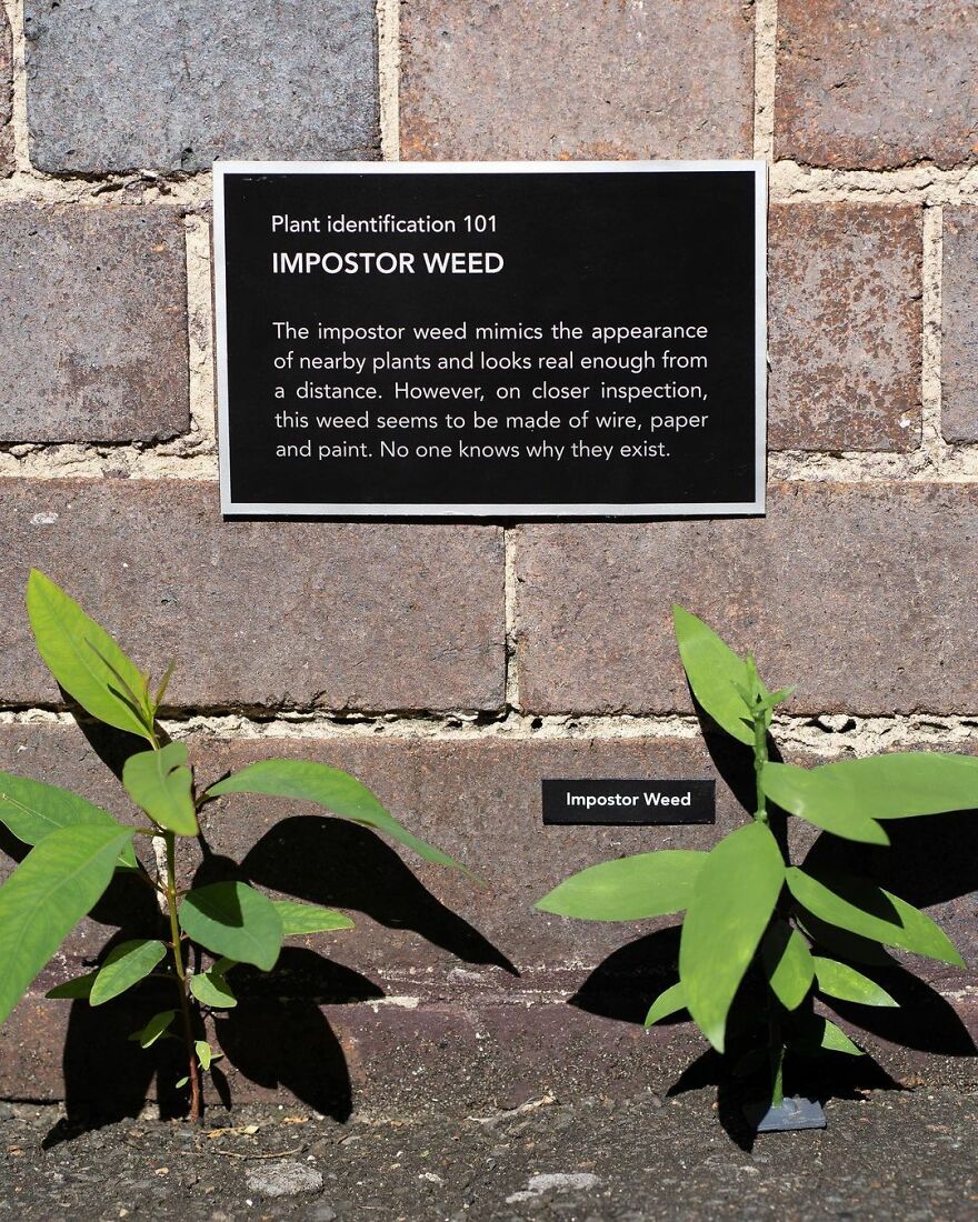 Artist Continues To Create Fun Street Signs Marking Small Places