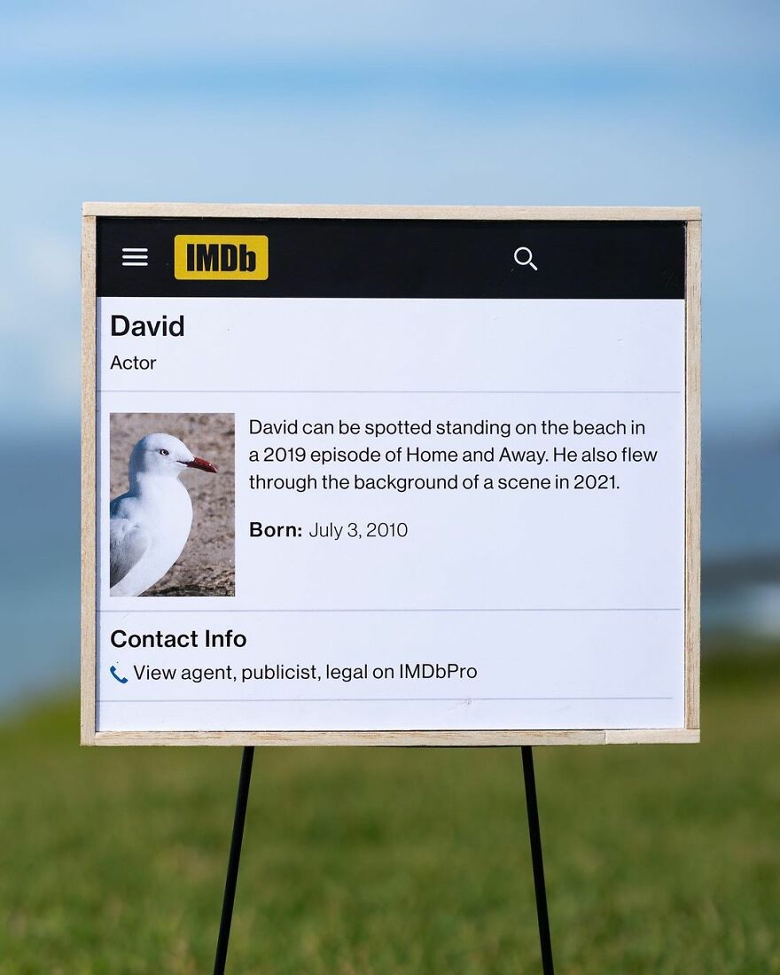 Artist Continues To Create Fun Street Signs Marking Small Places