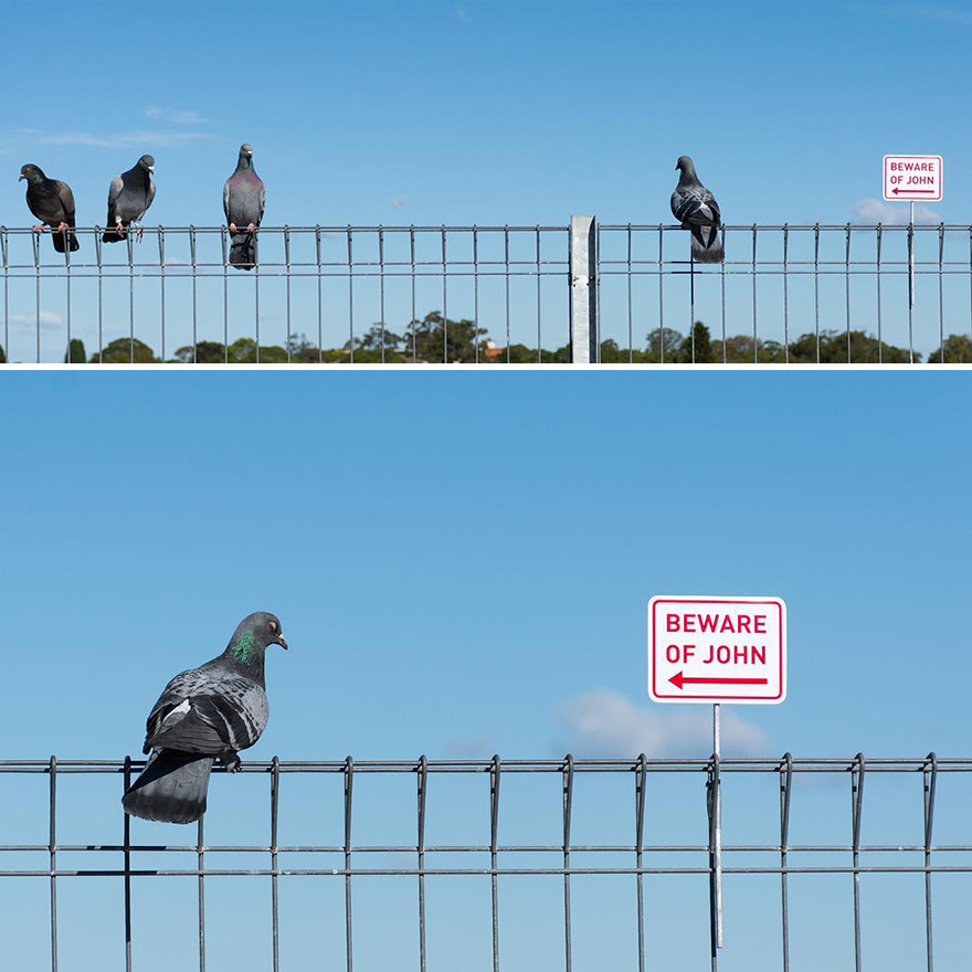 Artist Continues To Create Fun Street Signs Marking Small Places