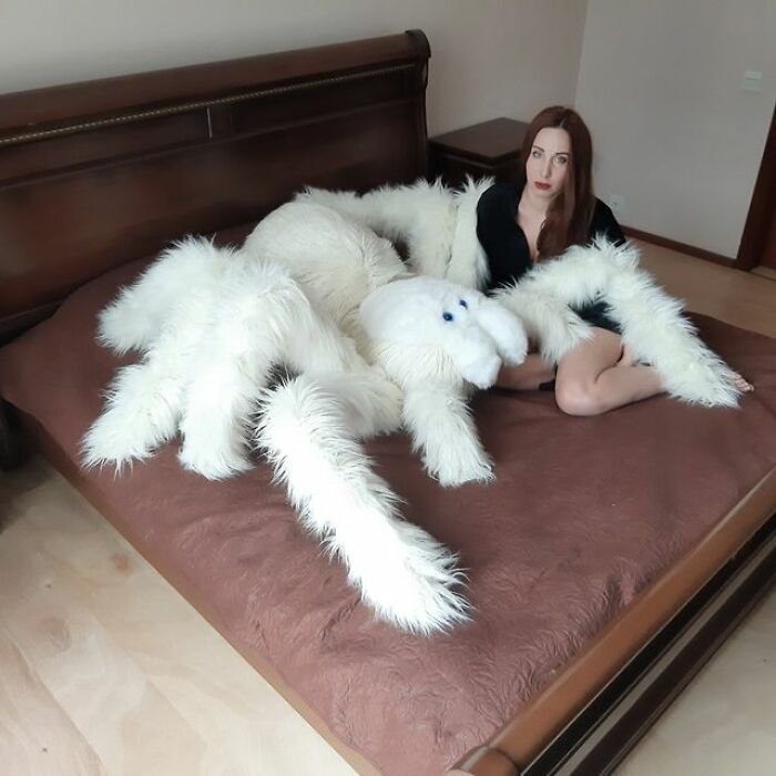 Housewarming Gift Idea: A Giant Spider Pillow From This Online Shop Housewarming Gift Idea: A Giant Spider Pillow From This Online Shop