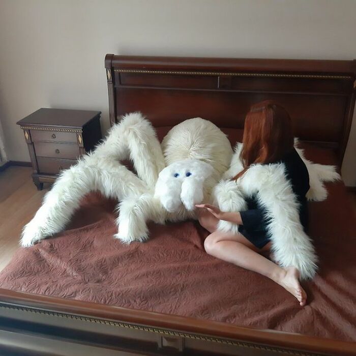 Housewarming Gift Idea: A Giant Spider Pillow From This Online Shop Housewarming Gift Idea: A Giant Spider Pillow From This Online Shop