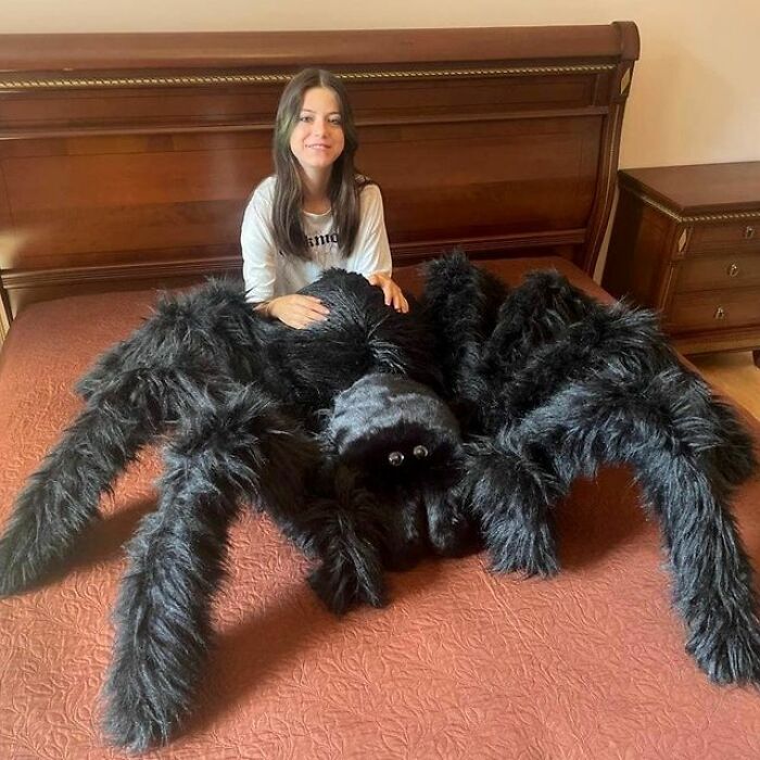 Housewarming Gift Idea: A Giant Spider Pillow From This Online Shop Housewarming Gift Idea: A Giant Spider Pillow From This Online Shop