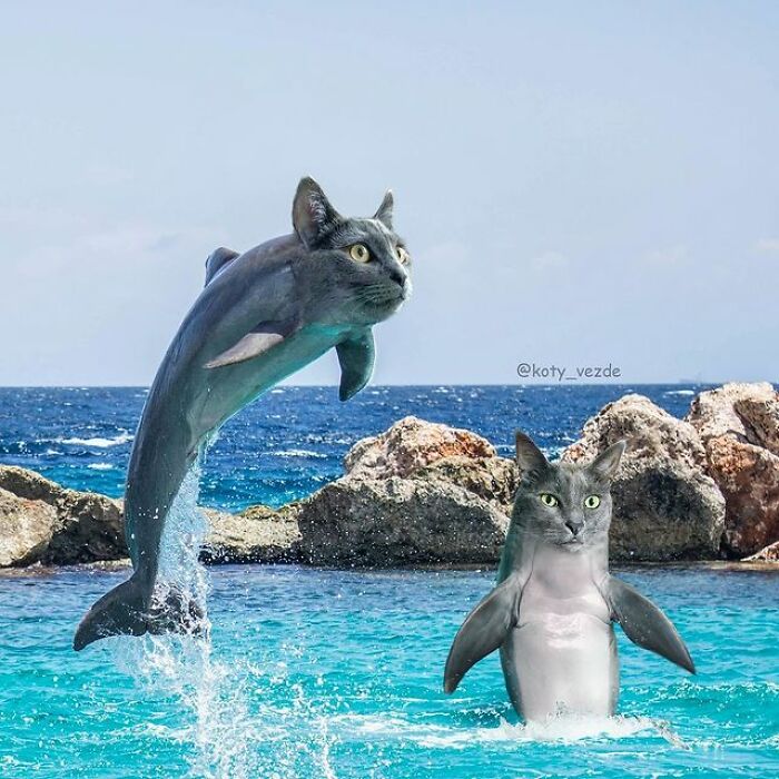 Artist Makes Montages With Cat Faces On Anything And The Result Is Impressive (New Pics)