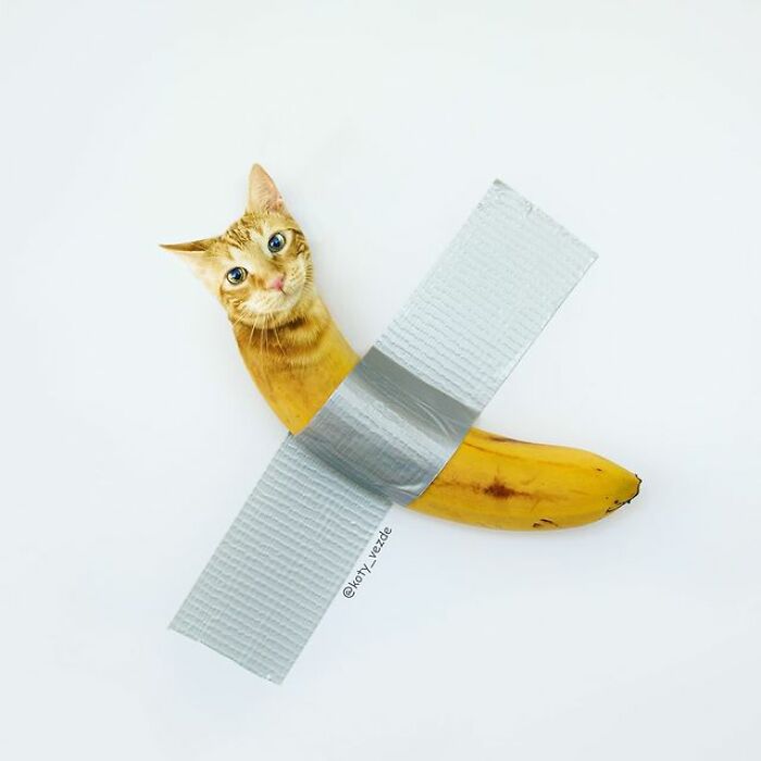 Artist Makes Montages With Cat Faces On Anything And The Result Is Impressive (New Pics)