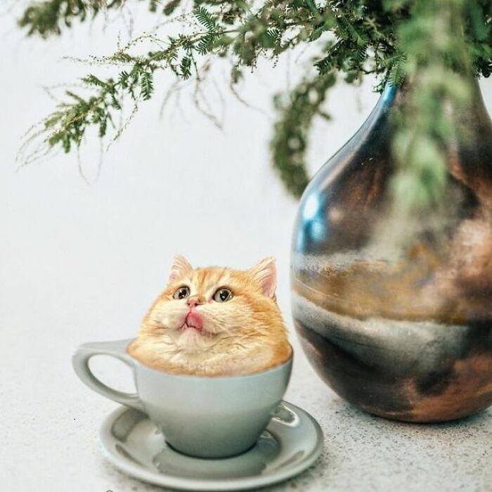 Artist Makes Montages With Cat Faces On Anything And The Result Is Impressive (New Pics)