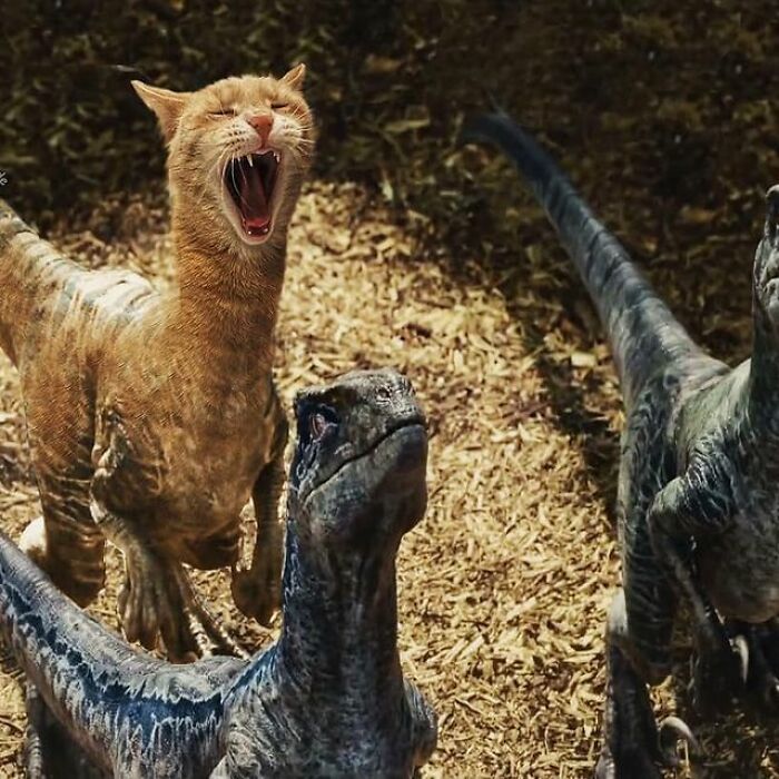 Artist Makes Montages With Cat Faces On Anything And The Result Is Impressive (New Pics)