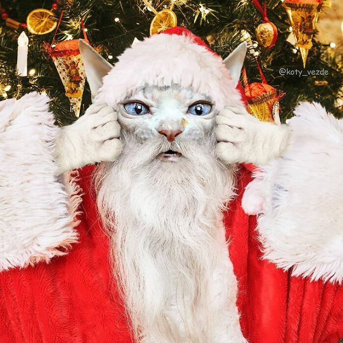 Artist Makes Montages With Cat Faces On Anything And The Result Is Impressive (New Pics)