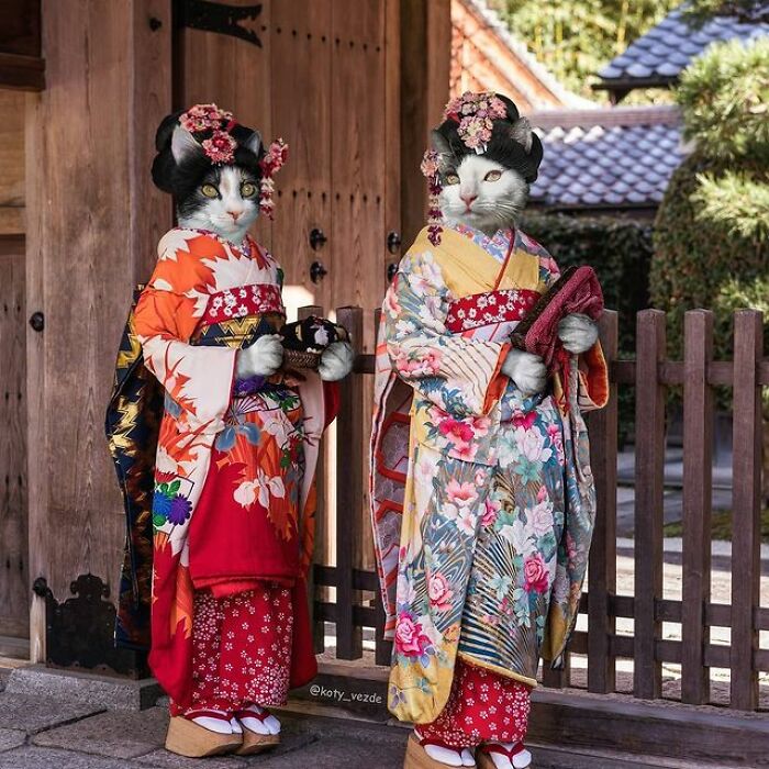 Artist Makes Montages With Cat Faces On Anything And The Result Is Impressive (New Pics)