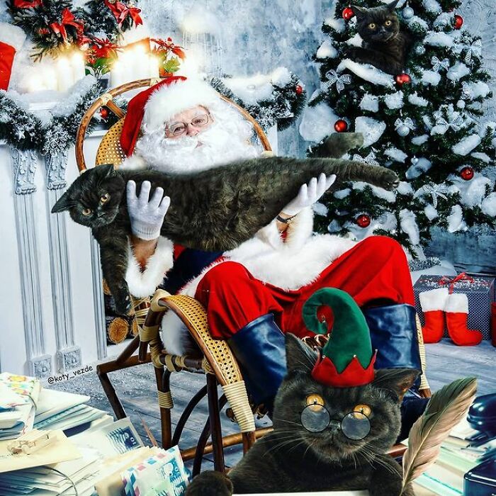 Artist Makes Montages With Cat Faces On Anything And The Result Is Impressive (New Pics)